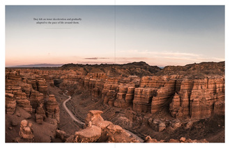 Life on the Road : Around the World on Four Wheels