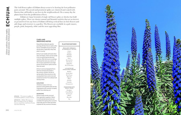 Super Bloom : A Field Guide to Flowers for Every Gardener