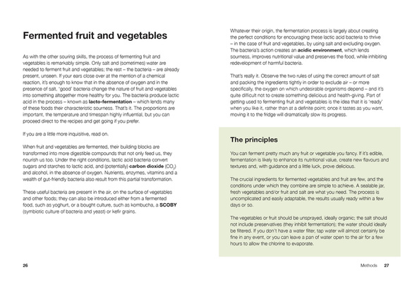 Ferment : Slow Down, Make Food to Last