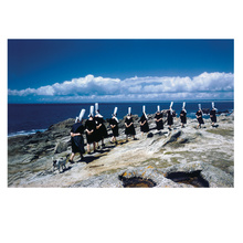 Elliott Erwitt's Kolor