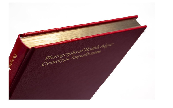 Cyanotype Imperfections