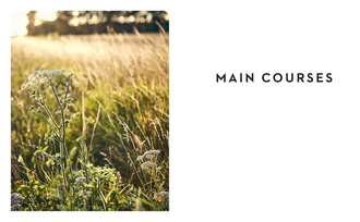 Essentials of French Cuisine