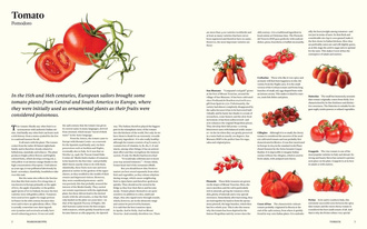 Originale : Recipes and Essentials of Italian Cooking