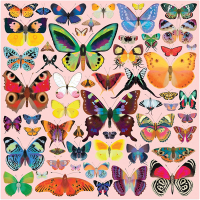 Brilliant Butterflies