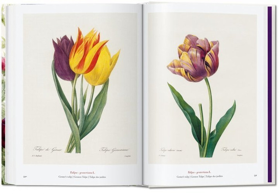 Redoute. The Book of Flowers. 40th Anniversary Ed.
