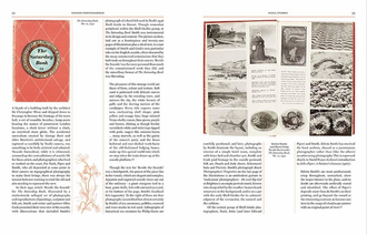 Seaside Photographed