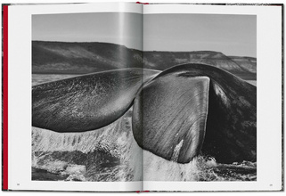 Sebastião Salgado Genesis 45th Ed. 