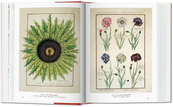 A Garden Eden. Masterpieces of Botanical Illustration. 40th Ed.