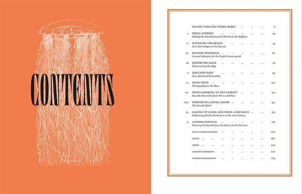 Seaside Photographed