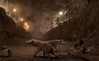 Nick Brandt: This Empty World