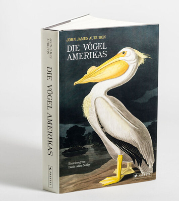 John James Audubon – Die Vögel Amerikas