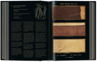 Romeyn B. Hough. The Woodbook. The Complete Plates