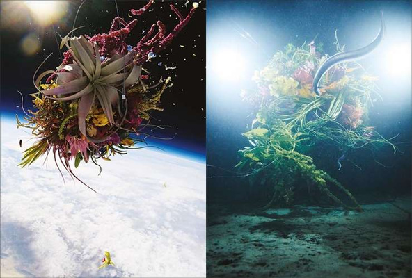 Flower Art: Makoto Azuma