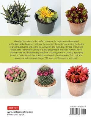 Growing Succulents