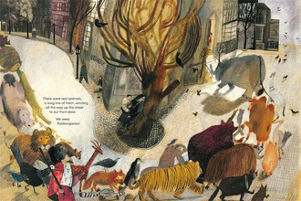 Harold Snipperpot's Best Disaster Ever