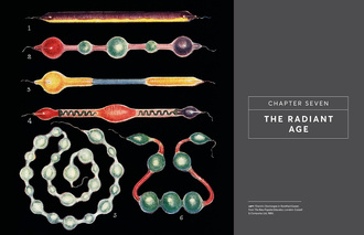 The Elements : A Visual History of Their Discovery