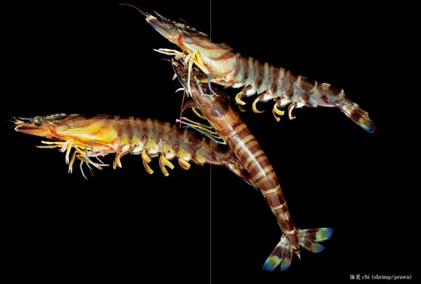 Sushi Secrets : A Japanese Master's Ultimate Guide