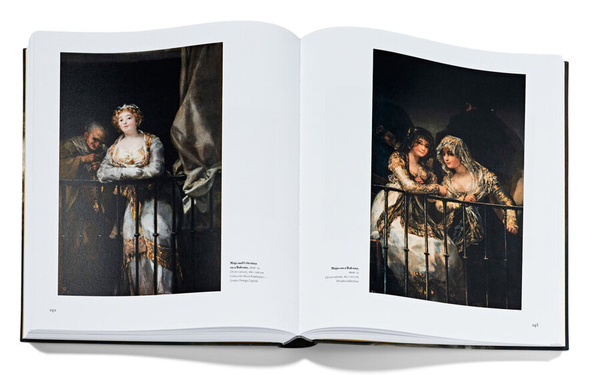 Francisco de Goya : Exhibition guide