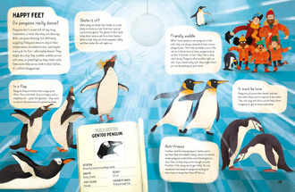 Do Penguins Like the Cold?