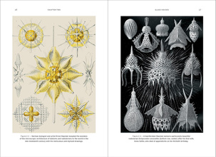 Wild Design : The Architecture of Nature