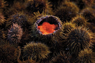 Nordic by Nature. Nordic Cuisine