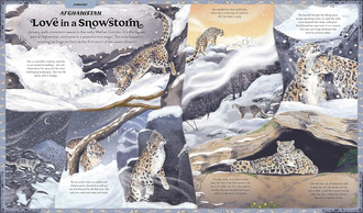 What Are You Doing Today, Mother Nature?