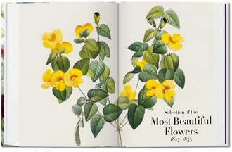 Redoute. The Book of Flowers. 40th Anniversary Edition