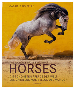 The World's Most Beautiful Horses