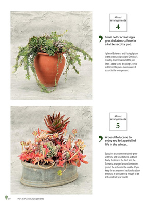 Growing Succulents