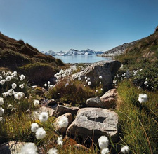 Nordic by Nature. Nordic Cuisine and Culinary Excursions