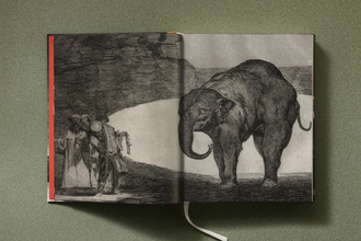 Goya. The Complete Prints