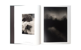 The Stillness of Life