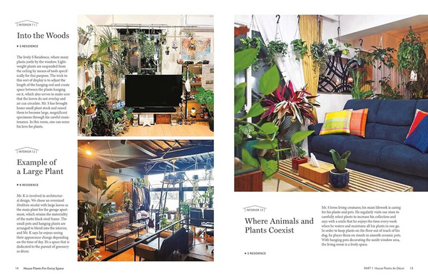 House Plants for Every Space