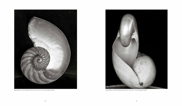 Weston : Edward, Brett, Cole, Cara. The Weston Photographers