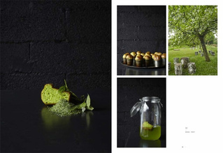 Chef, La Grenouillere