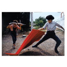 Elliott Erwitt's Kolor