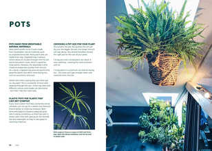 Green Home : The Joy of Living with Plants