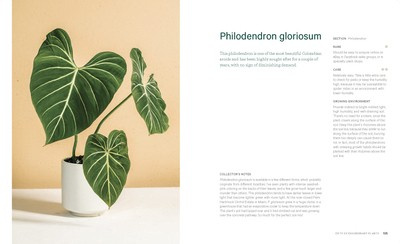 Welcome to the Jungle : Rare Tropical Houseplants to Collect, Grow, and Love