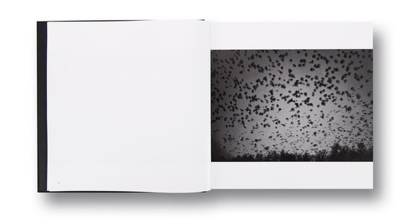 Masahisa Fukase — Ravens