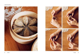 Dumplings and Noodles : Bao, Gyoza, Biang Biang, Ramen - and Everything in Between