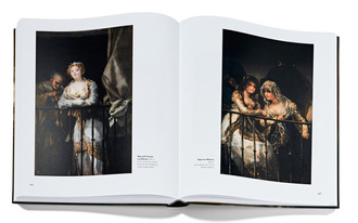 Francisco de Goya : Exhibition guide