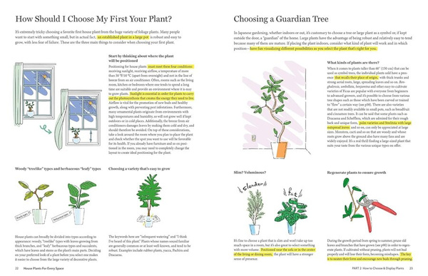 House Plants for Every Space