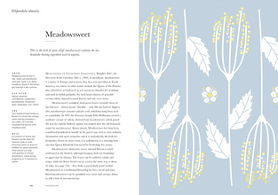 Herbarium : One Hundred Herbs