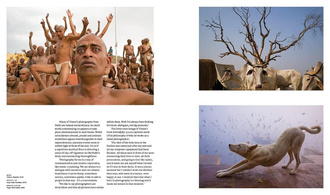 Reclaim the Street : Street Photography's Moment