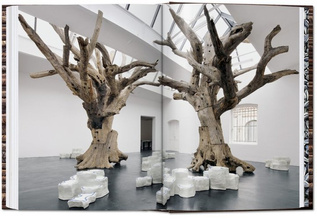 Ai Weiwei. 40th Anniversary Edition