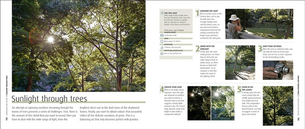 How to Photograph Absolutely Everything : Successful pictures from your digital camera