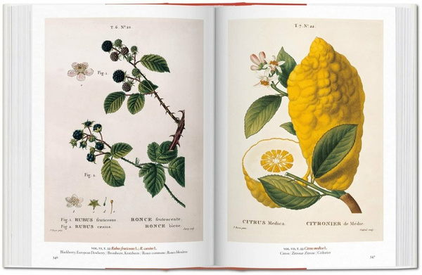 A Garden Eden. Masterpieces of Botanical Illustration. 40th Ed.