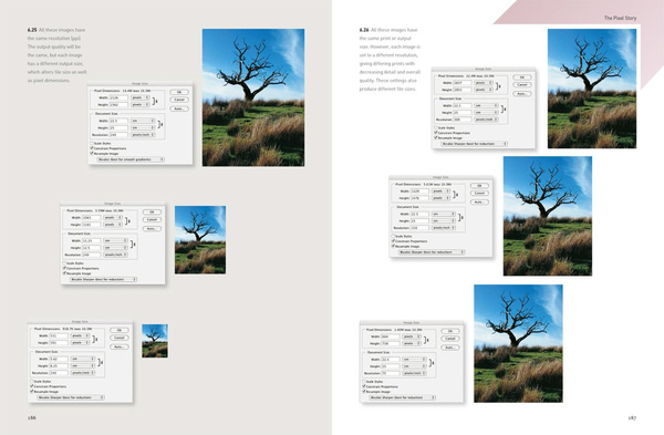 Photography: The New Basics