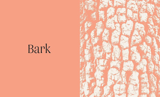 Trees : From Root to Leaf