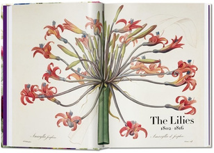 Redoute. The Book of Flowers. 40th Anniversary Edition